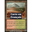 (Foil) Terrain - Oasis shivâne (U) [INV]