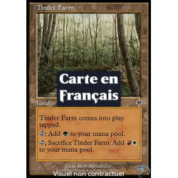 (Foil) Terrain - Futaie d'amadou (C) [INV]