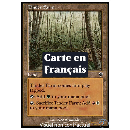 (Foil) Terrain - Futaie d'amadou (C) [INV]