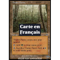 (Foil) Terrain - Futaie d'amadou (C) [INV]