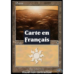 (Foil) Terrain - Plaine (V1) (L) [INV]