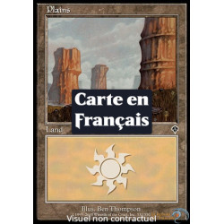 (Foil) Terrain - Plaine (V2) (L) [INV]