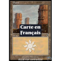 (Foil) Terrain - Plaine (V2) (L) [INV]