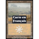 (Foil) Terrain - Plaine (V3) (L) [INV]