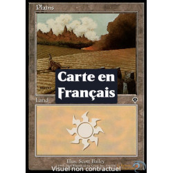 (Foil) Terrain - Plaine (V4) (L) [INV]