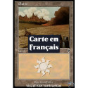 (Foil) Terrain - Plaine (V4) (L) [INV]