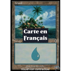 (Foil) Terrain - Île (V1) (L) [INV]
