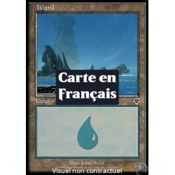 (Foil) Terrain - Île (V2) (L) [INV]