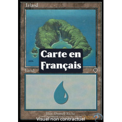 (Foil) Terrain - Île (V4) (L) [INV]
