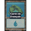 (Foil) Terrain - Île (V4) (L) [INV]