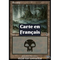 (Foil) Terrain - Marais (V2) (L) [INV]