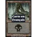(Foil) Terrain - Marais (V3) (L) [INV]