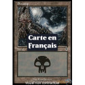 (Foil) Terrain - Marais (V4) (L) [INV]