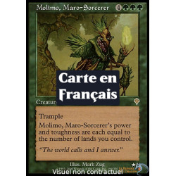 (Foil) Terrain - Montagne (V1) (L) [INV]