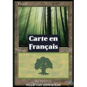 (Foil) Terrain - Forêt (V1) (L) [INV]