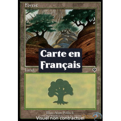 (Foil) Terrain - Forêt (V3) (L) [INV]
