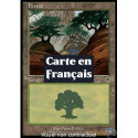 (Foil) Terrain - Forêt (V3) (L) [INV]