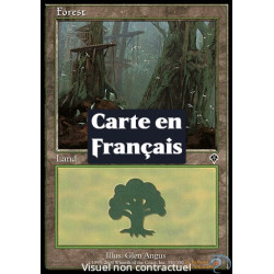 (Foil) Terrain - Forêt (V4) (L) [INV]