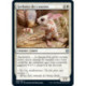 (Foil) Blanche - Gerboise des canyons (V1) (U) [ZNR]