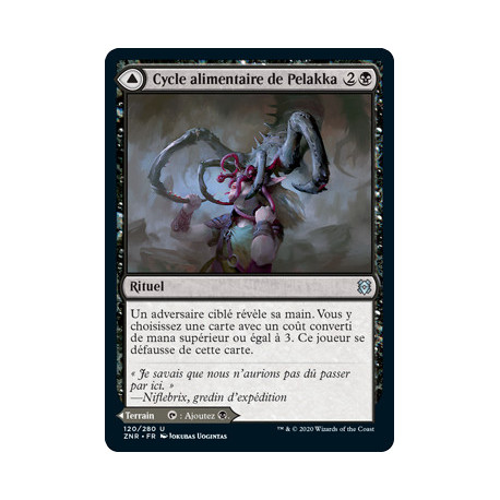 (Foil) Noire - Cycle alimentaire de Pelakka // Cavernes de Pelakka (U) [ZNR]