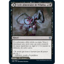 (Foil) Noire - Cycle alimentaire de Pelakka // Cavernes de Pelakka (U) [ZNR]