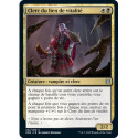 (Foil) Multicolore - Clerc du lien de vitalité (U) [ZNR]