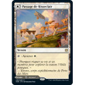 (Foil) Terrain - Passage de Hisseclair // Passage de Hissemorne (V1) (R) [ZNR]