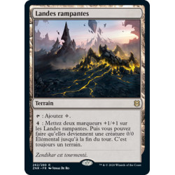 (Foil) Terrain - Landes rampantes (R) [ZNR]