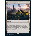 (Foil) Terrain - Landes rampantes (R) [ZNR]