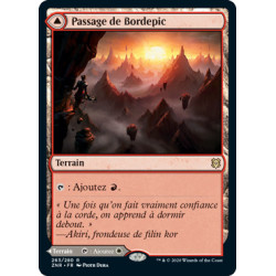 (Foil) Terrain - Passage de Bordepic // Passage de Bordepile (V1) (R) [ZNR]