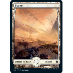 (Foil) Terrain - Plaine (V1) (L) [ZNR]