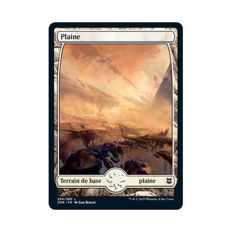 (Foil) Terrain - Plaine (V1) (L) [ZNR]