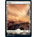 (Foil) Terrain - Plaine (V1) (L) [ZNR]