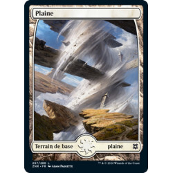 (Foil) Terrain - Plaine (V2) (L) [ZNR]