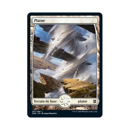 (Foil) Terrain - Plaine (V2) (L) [ZNR]
