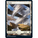 (Foil) Terrain - Plaine (V2) (L) [ZNR]