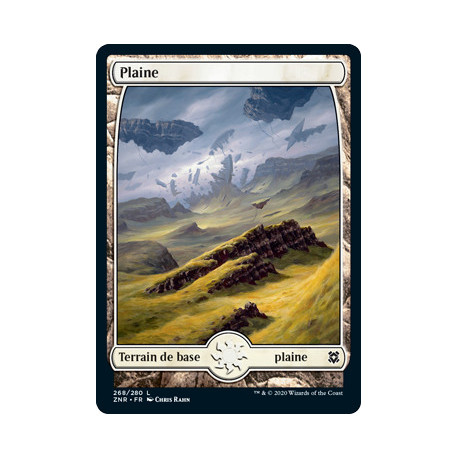 (Foil) Terrain - Plaine (V3) (L) [ZNR]