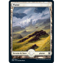 (Foil) Terrain - Plaine (V3) (L) [ZNR]