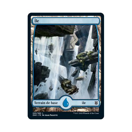 (Foil) Terrain - Île (V1) (L) [ZNR]
