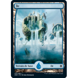 (Foil) Terrain - Île (V2) (L) [ZNR]