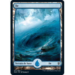 (Foil) Terrain - Île (V3) (L) [ZNR]
