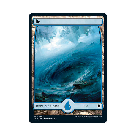 (Foil) Terrain - Île (V3) (L) [ZNR]