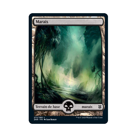 (Foil) Terrain - Marais (V1) (L) [ZNR]