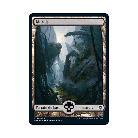 (Foil) Terrain - Marais (V2) (L) [ZNR]