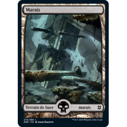 (Foil) Terrain - Marais (V3) (L) [ZNR]