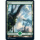 (Foil) Terrain - Forêt (V1) (L) [ZNR]