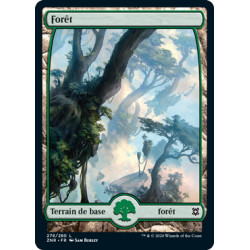(Foil) Terrain - Forêt (V1) (L) [ZNR]