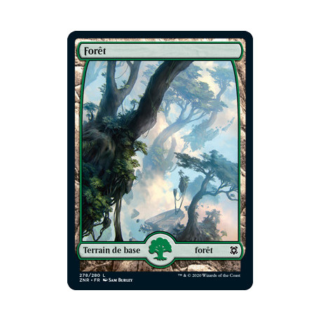 (Foil) Terrain - Forêt (V1) (L) [ZNR]