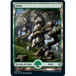 (Foil) Terrain - Forêt (V2) (L) [ZNR]