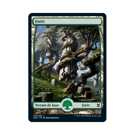 (Foil) Terrain - Forêt (V2) (L) [ZNR]
